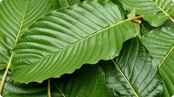 About Extracts