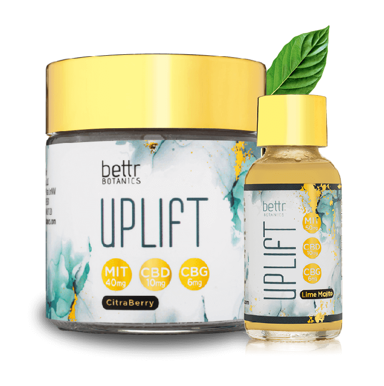 newsletter-img-new-leaf